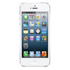 Apple iPhone 5 16Gb white - Кстово